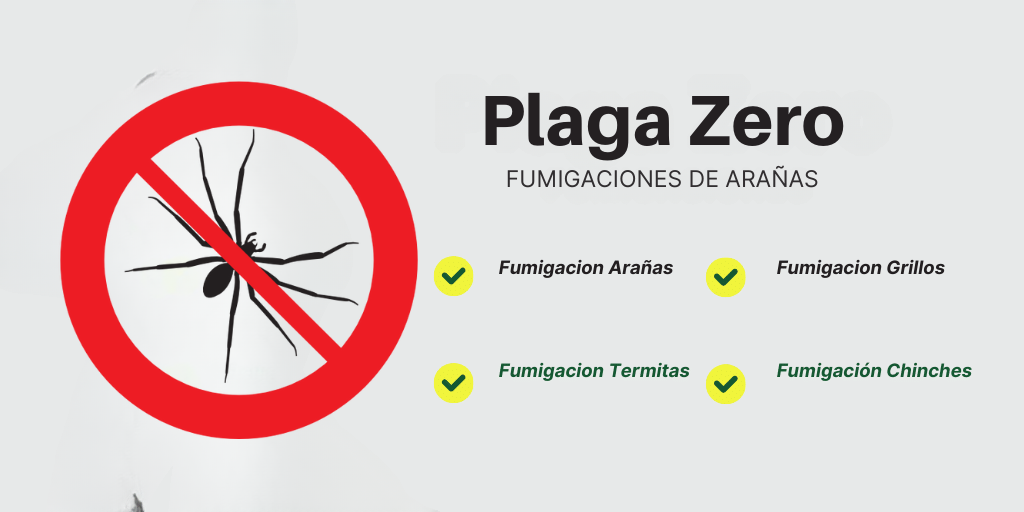 Fumigación de Arañas