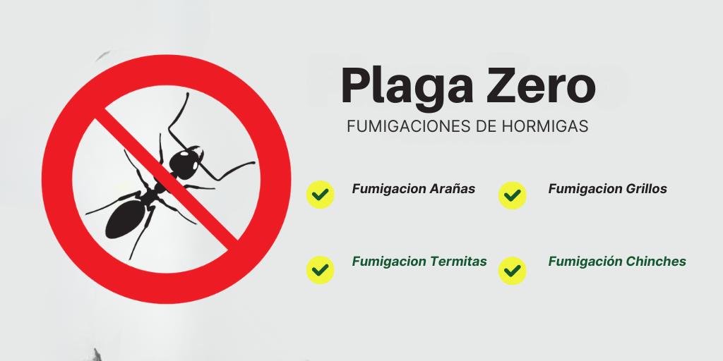 Fumigación de Hormigas