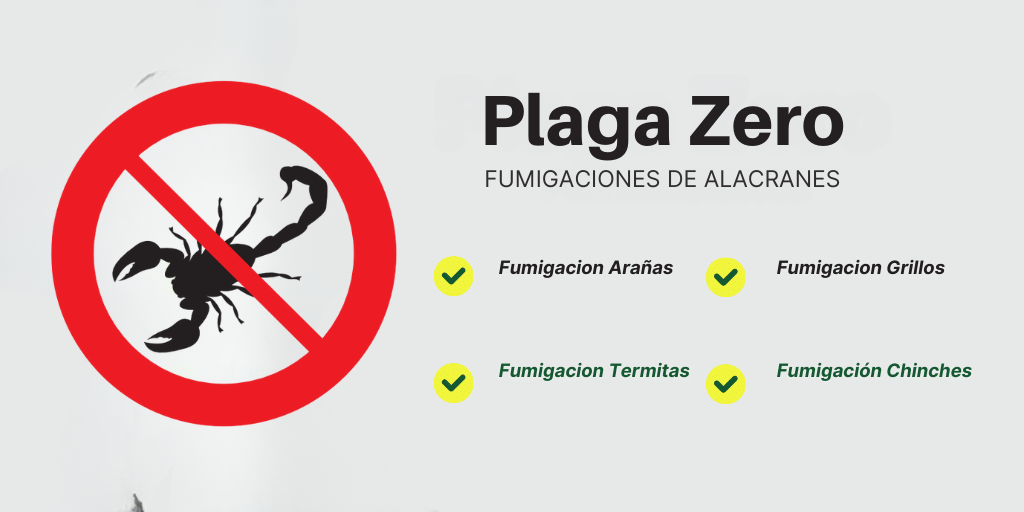 Fumigación de Alacranes