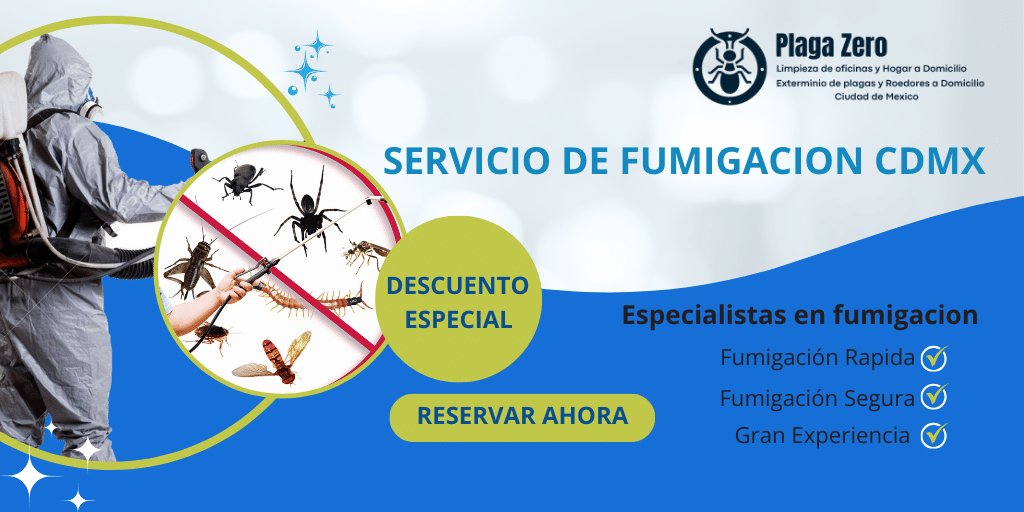 Servicio De Fumigación CDMX, Fumigaciones CDMX