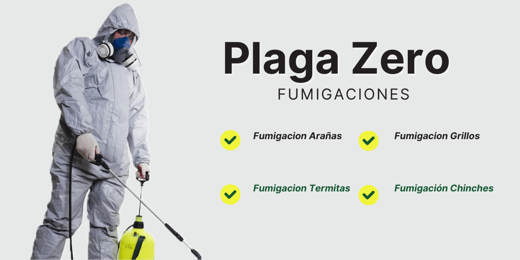 Servicio De Fumigación CDMX, Fumigaciones CDMX