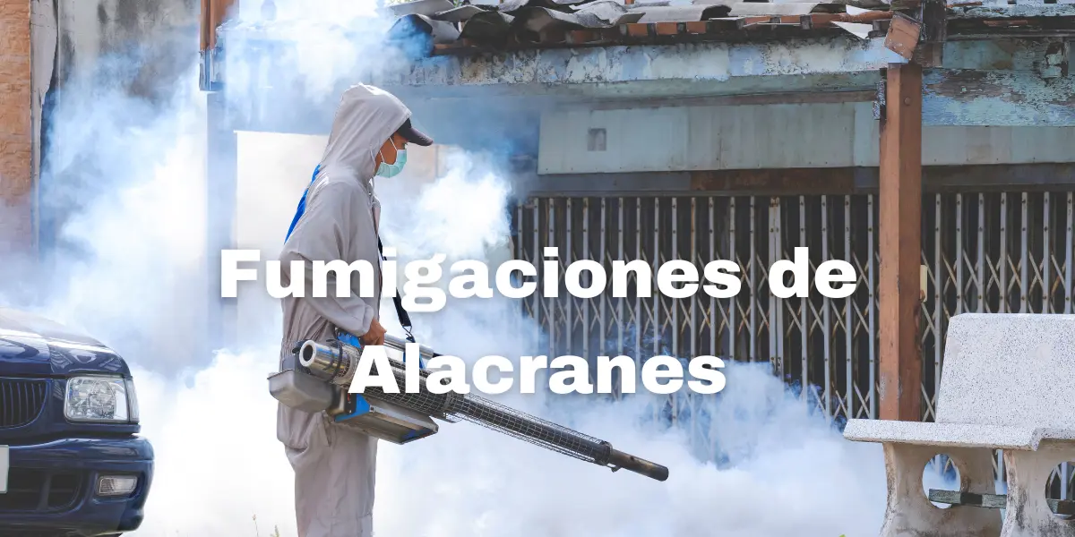 Fumigacion de Alacranes 3