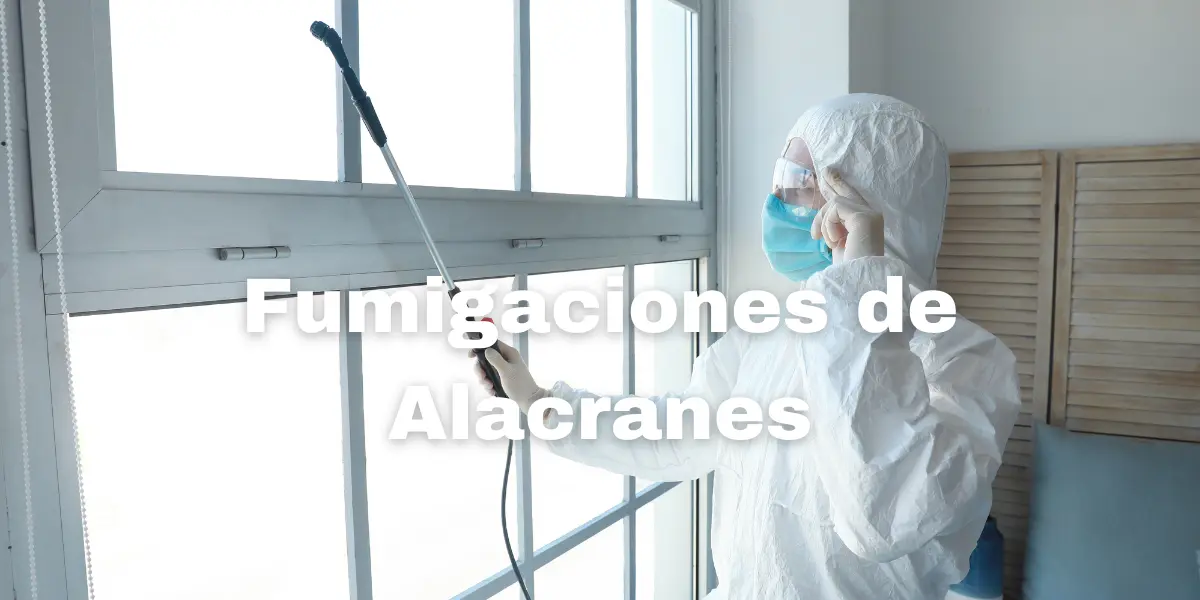Fumigacion de Alacranes 4