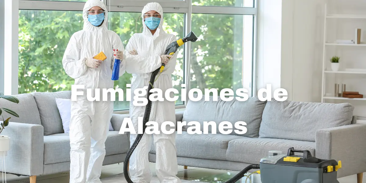 Fumigacion de Alacranes 5