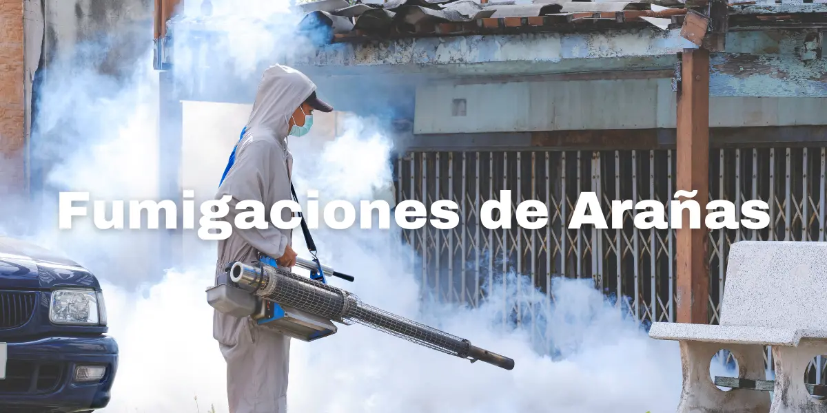 Fumigacion de Arañas 3