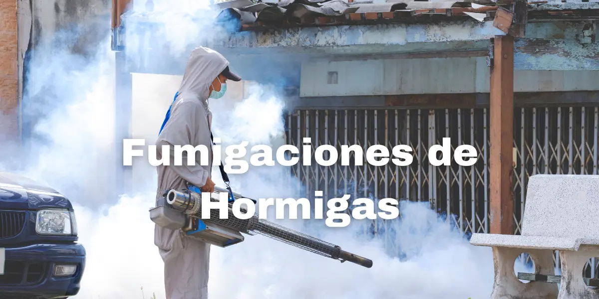 Fumigacion de Hormigas 3