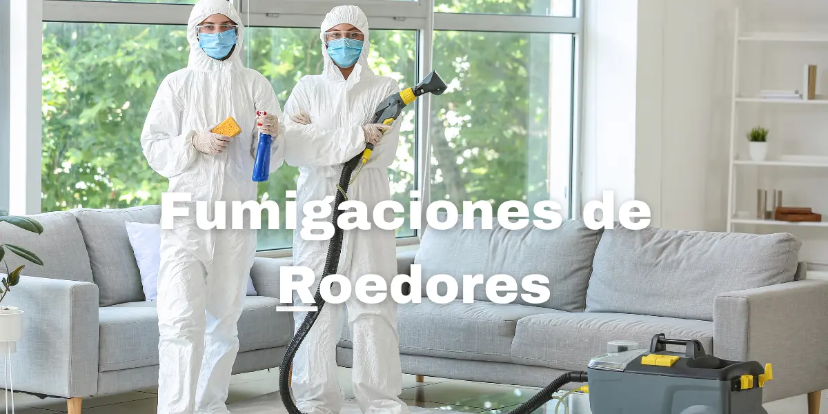 Fumigacion de Roedores 5