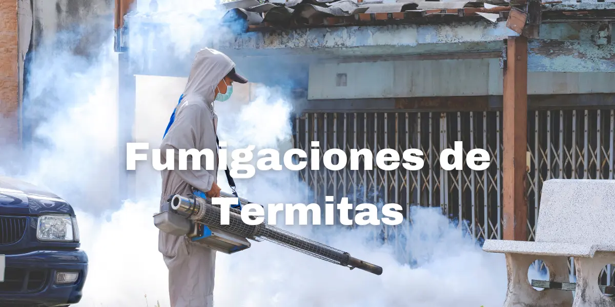 Fumigacion de Termitas 3