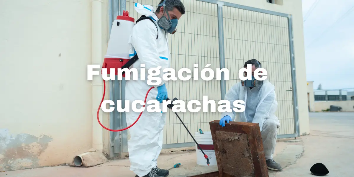 Fumigacion de cucarachas 1