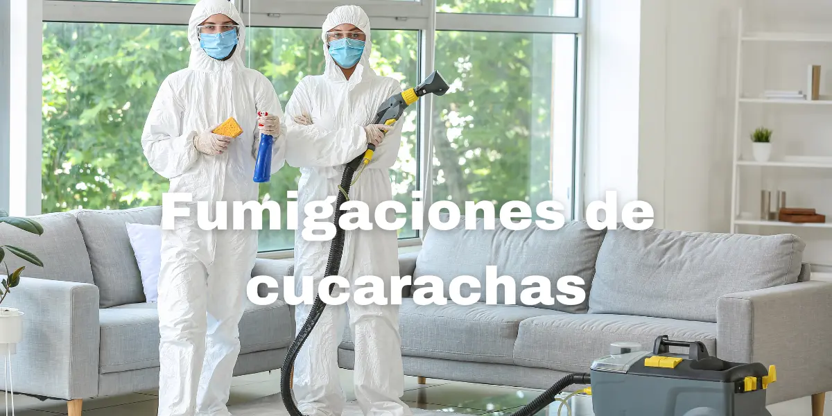 Fumigacion de cucarachas 5