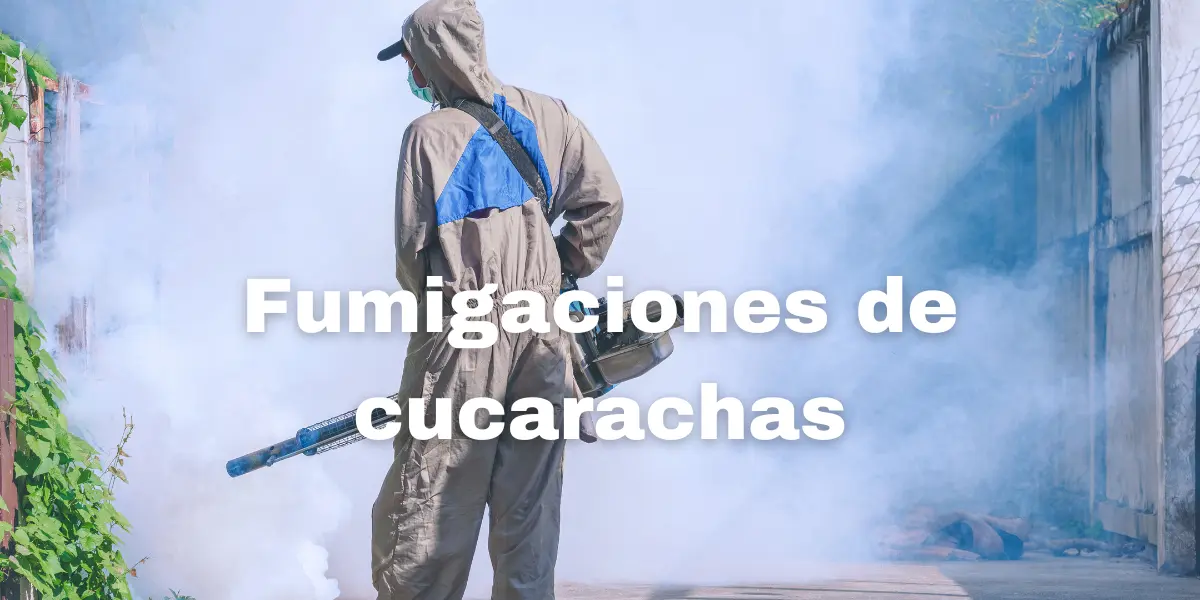 Fumigacion de cucarachas