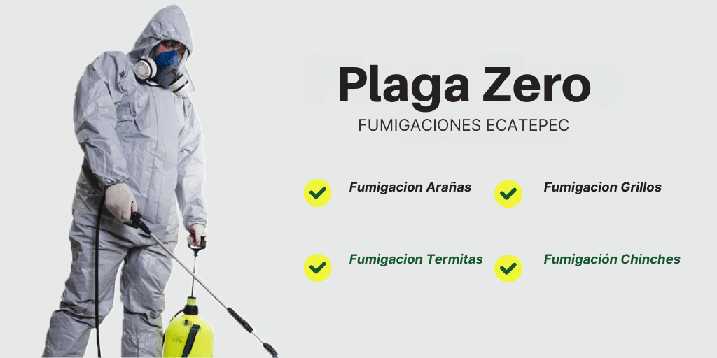 Fumigaciones en Ecatepec