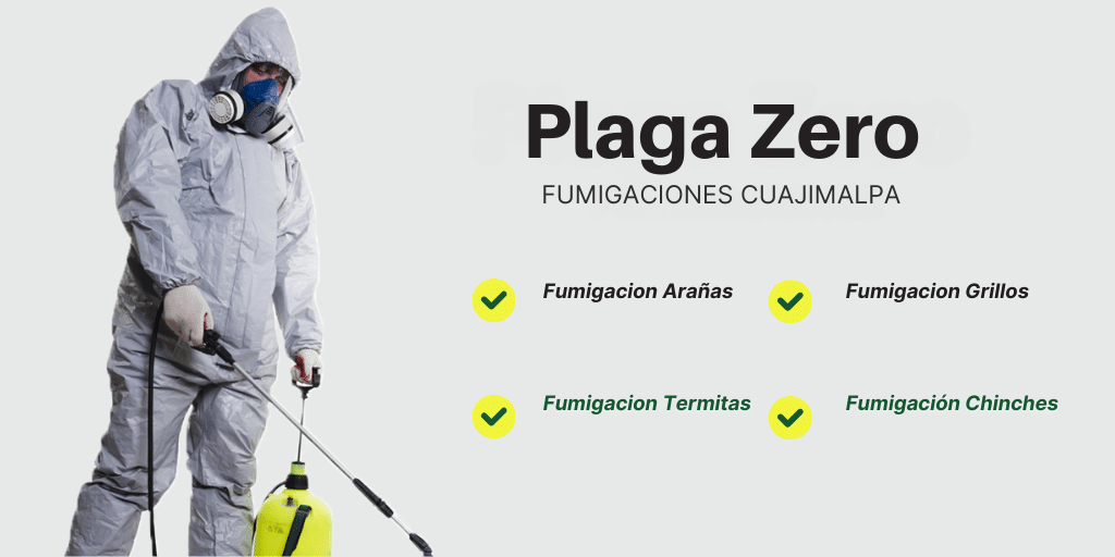 2 SERVICIO DE FUMIGACION CUAJIMALPA