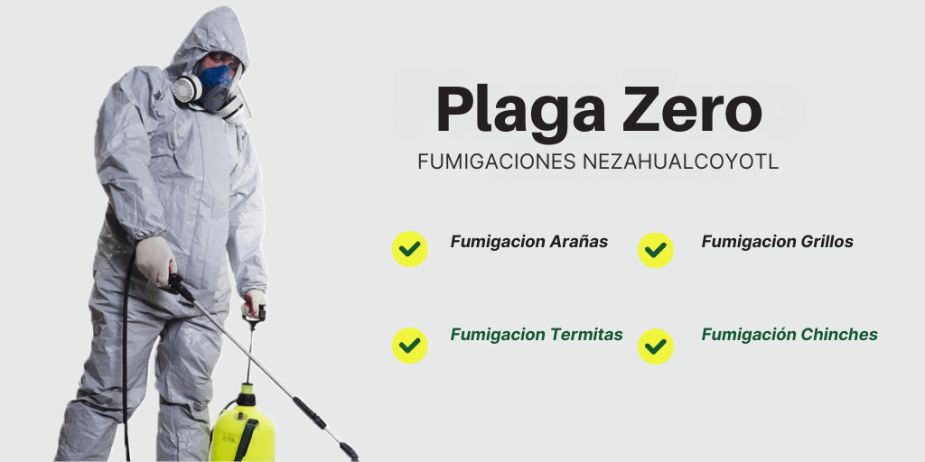 2 SERVICIO DE FUMIGACION EN NEZAHUALCOYOTL