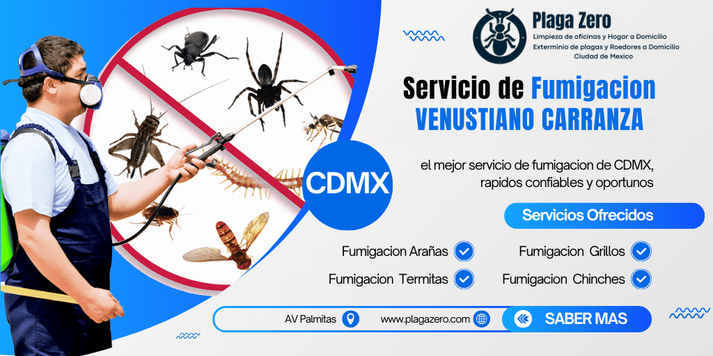 4 Fumigaciones Venustiano Carranza
