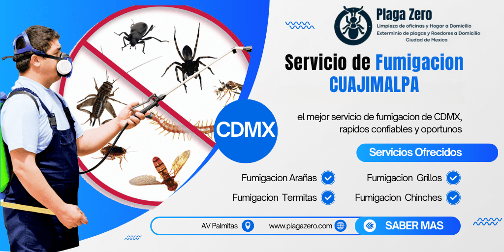4 SERVICIO DE FUMIGACION CUAJIMALPA