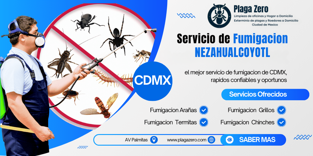 4 SERVICIO DE FUMIGACION EN NEZAHUALCOYOTL