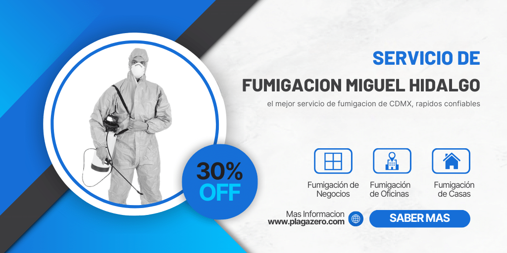 5 Fumigaciones Miguel Hidalgo