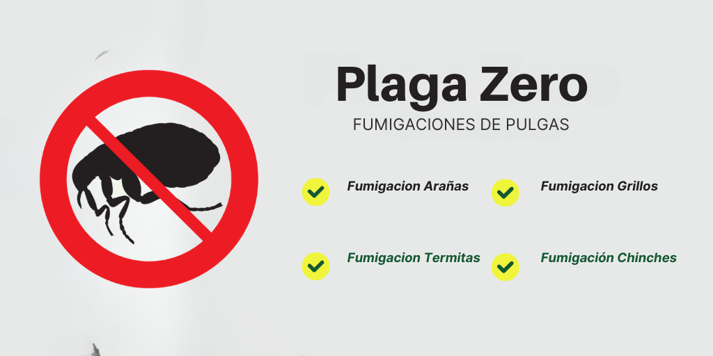 Fumigación de Pulgas