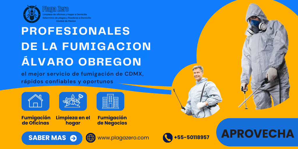 6 Fumigaciones Álvaro Obregón