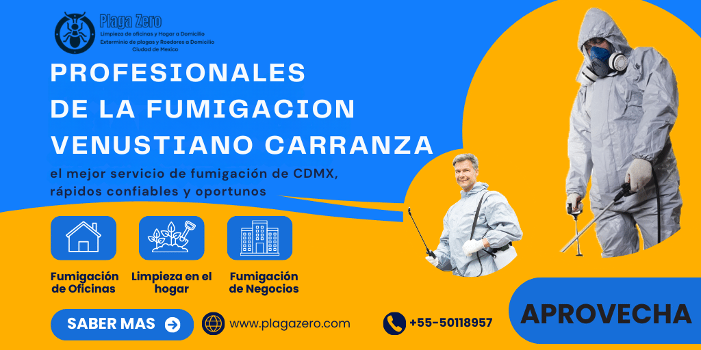 6 Fumigaciones Venustiano Carranza