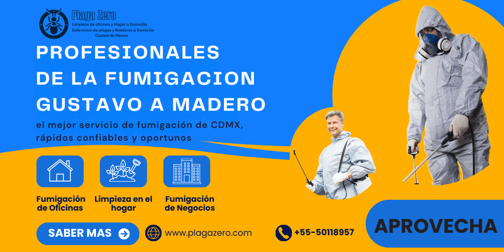 6 SERVICIO DE FUMIGACION EN GUSTAVO A MADERO