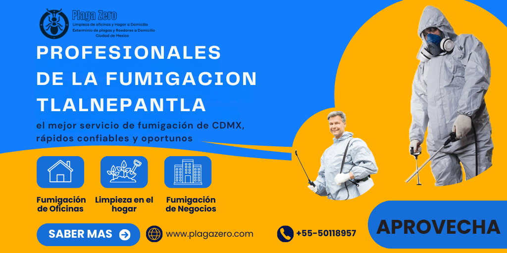 6 SERVICIO DE FUMIGACION TLALNEPANTLA
