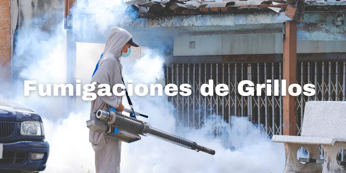 fumigacion de Grillos-3