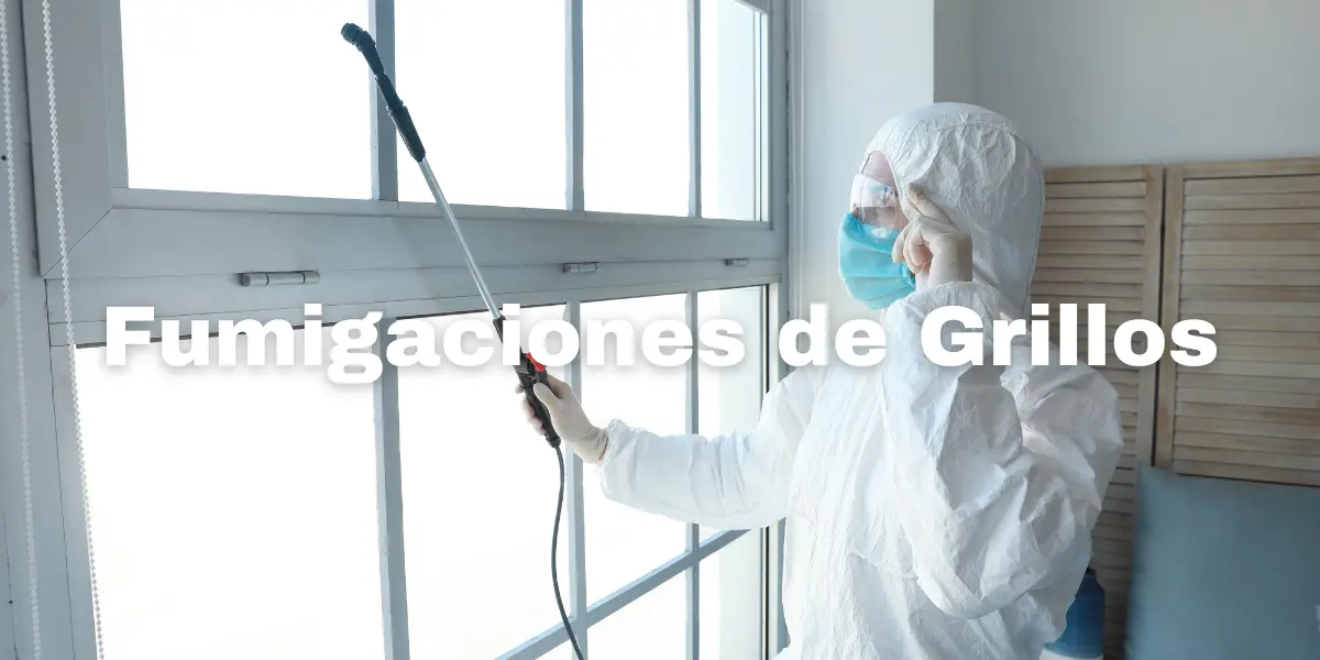 fumigacion de Grillos-4