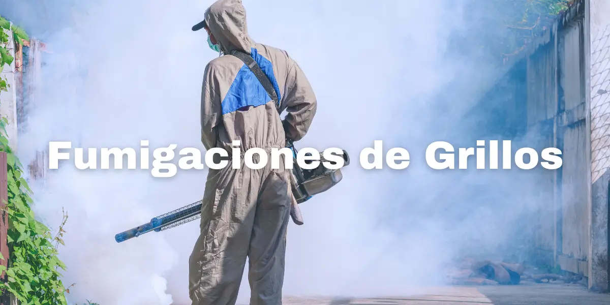 fumigacion de Grillos