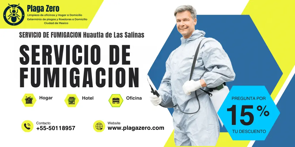 Fumigación Barrio Huautla de Las Salinas