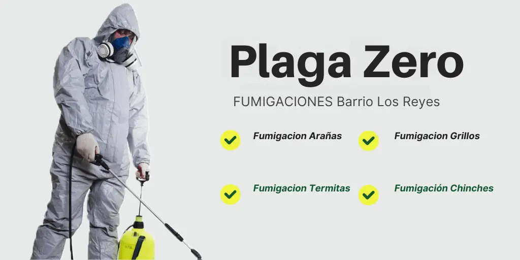 FUMIGACIONES Barrio Los Reyes
