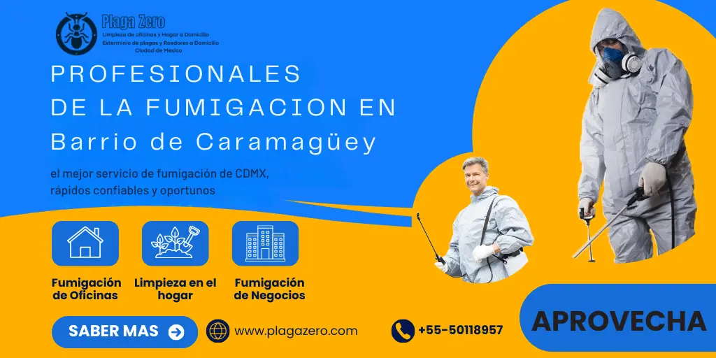 Fumigaciones Barrio de Caramagüey
