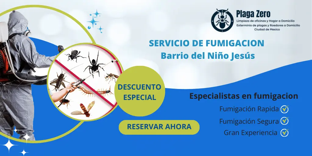 Servicio de Barrio del Niño Jesús