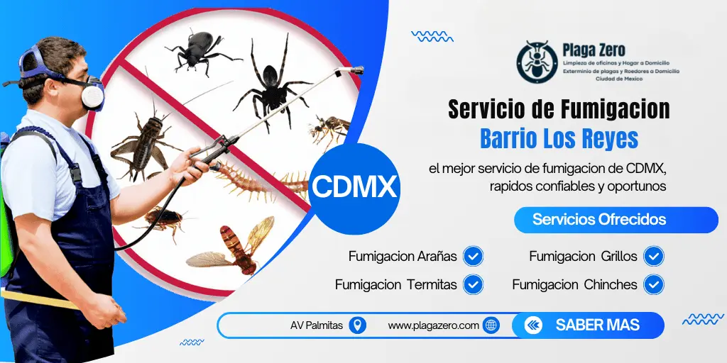 Servicio de Fumigacion en Barrio Los Reyes